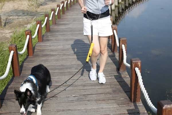 Utility Hands-Free Dog Walking Belt