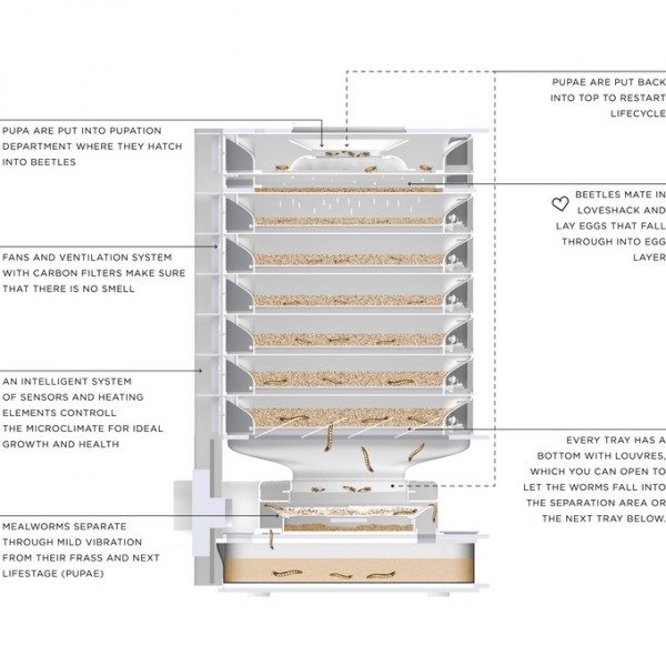 livinstudio-hive-2