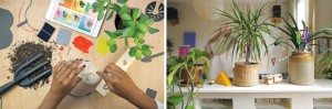 thirstyplant