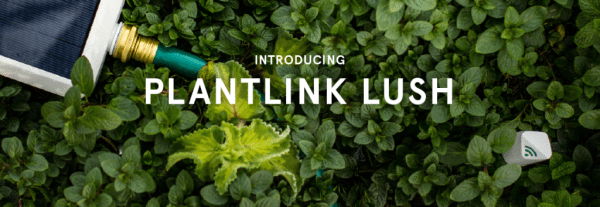 plantlink lush