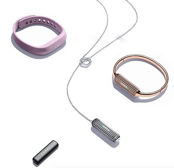 fitbit flex 2 and accessories