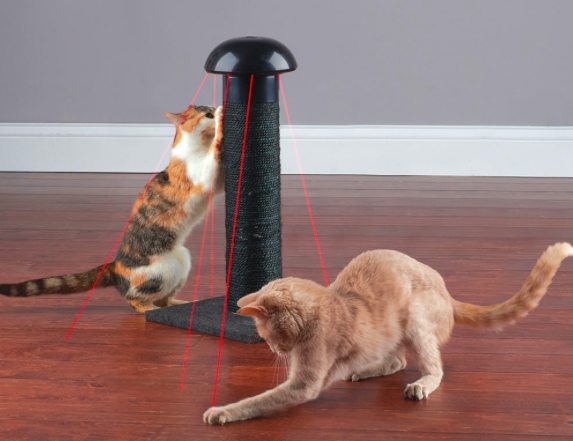 hammacher laser scratching post