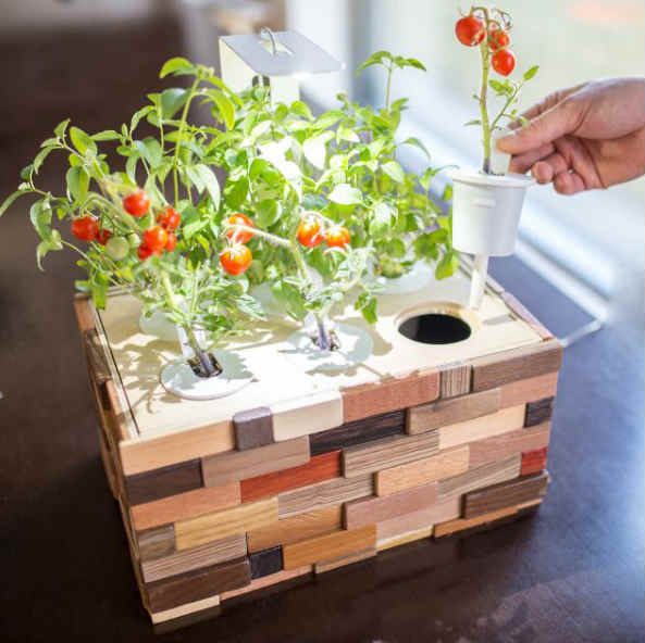 diy garden 2