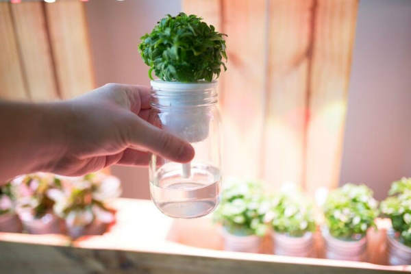 Click & Grow introduces DIY gardening – sorta – The Gadgeteer