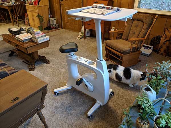 FlexiSpot V9 All-in-One Standing Desk Bike - Deskcise Pro, White