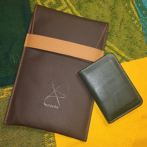 aurochs gravitywallet 16