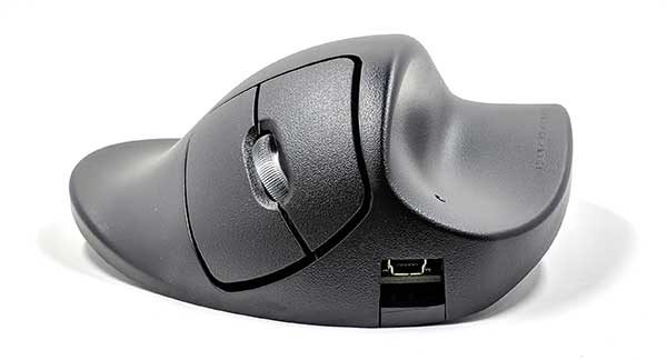 handshoe mouse 8