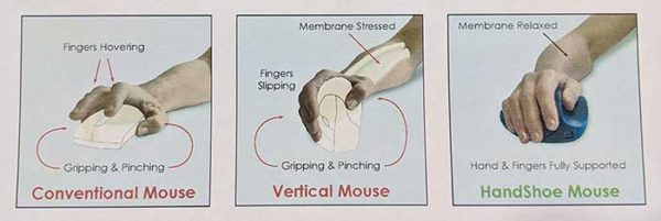 handshoe mouse 9