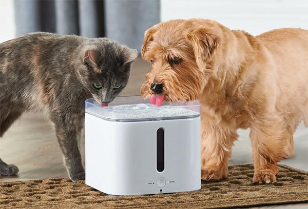 pet water fountain that keeps water cold