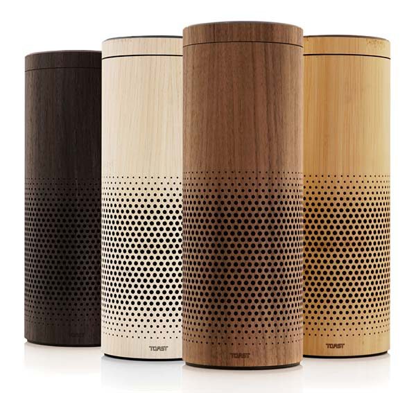 toast amazonecho 2