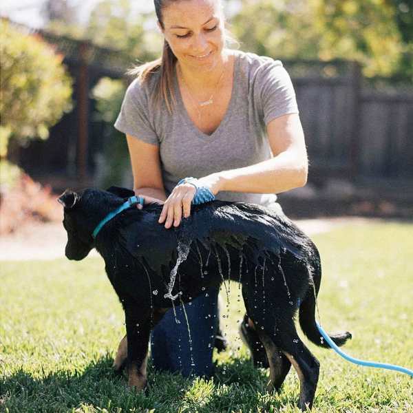 aquapaw petbathingtool 1