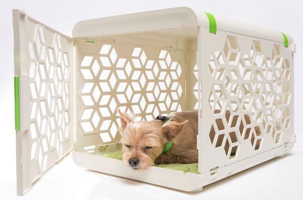 pawd pet crate