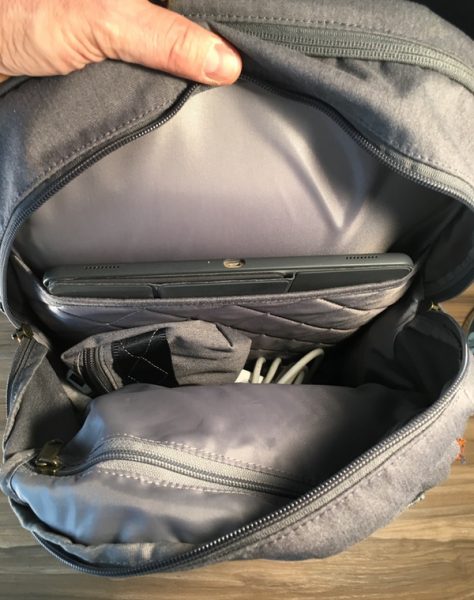 STMBags BanksLaptopBackpack 10