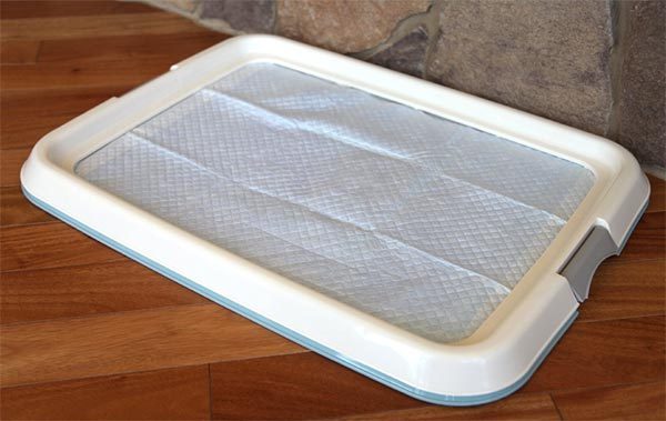 puppy pad tray