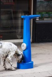 dimitri nassisi fire hydrant