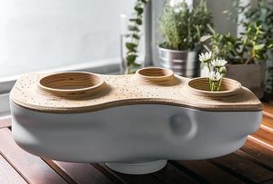 biovessel 1