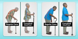 campbell posture cane 1