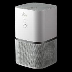 ja 01