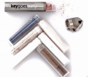 keygoes keychain 3
