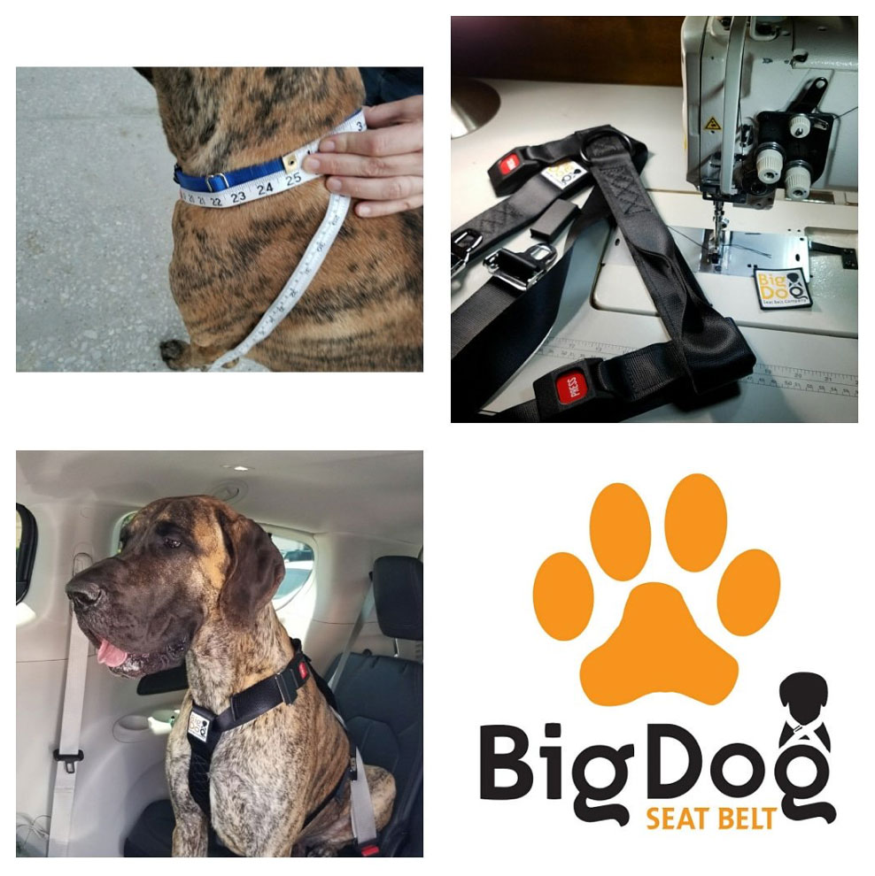 Restrain your big dog properly in the car with the Big Dog Seat Belt