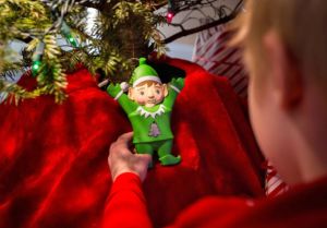 evergreen elf 1