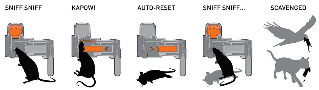 Electronic Rat Traps Humane  Automatic Rat Mouse Trap
