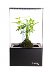 EcoQube Air 1