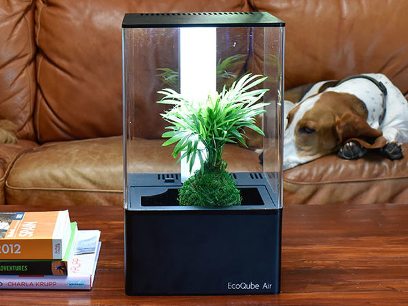 EcoQube Air 2