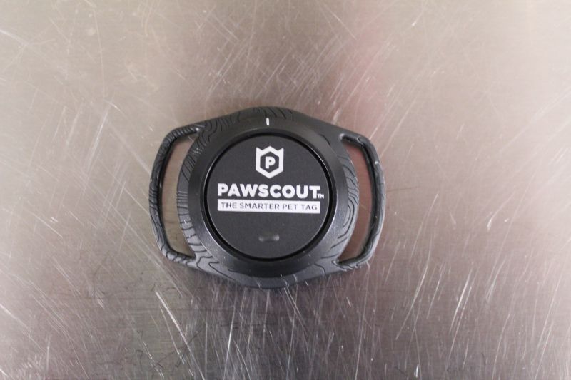 Pawscout 18