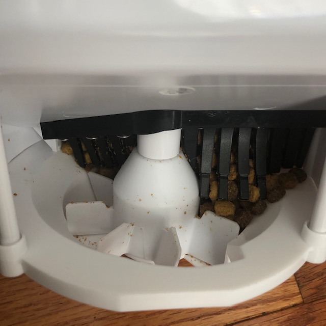 Review: WOpet Sprite Automatic Cat and Dog Feeder