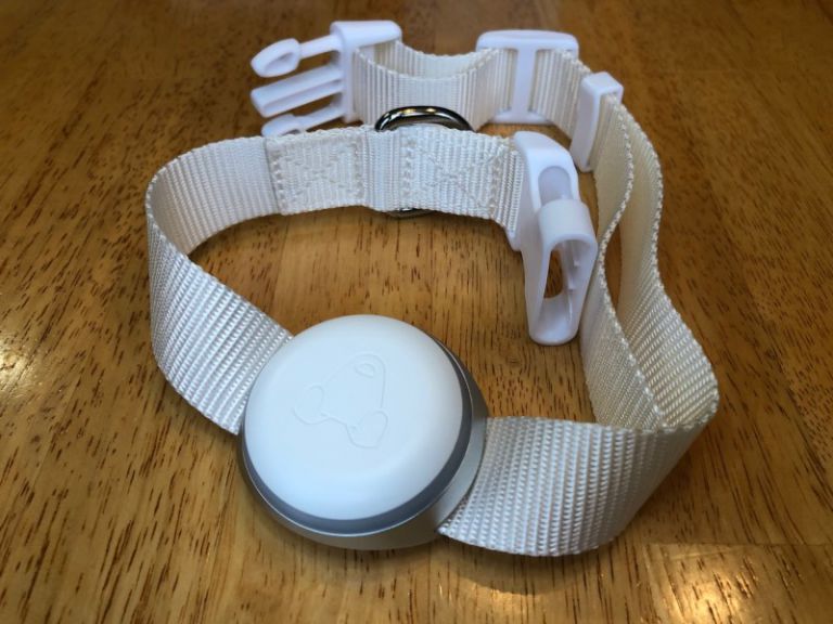 mishiko tracker