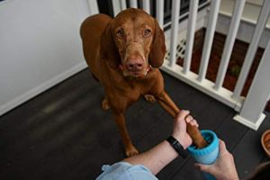 Dexas Mudbuster 1