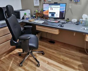 eureka ergonomic exec swing 2