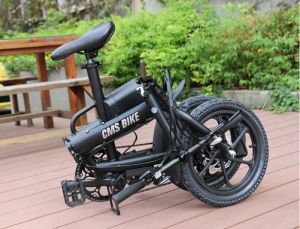 CMSBIKE F16 2