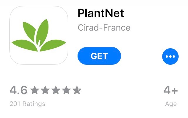 plantnet app 1