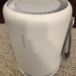 Molekule Air Mini review