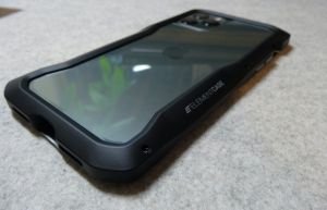 ECVS 01