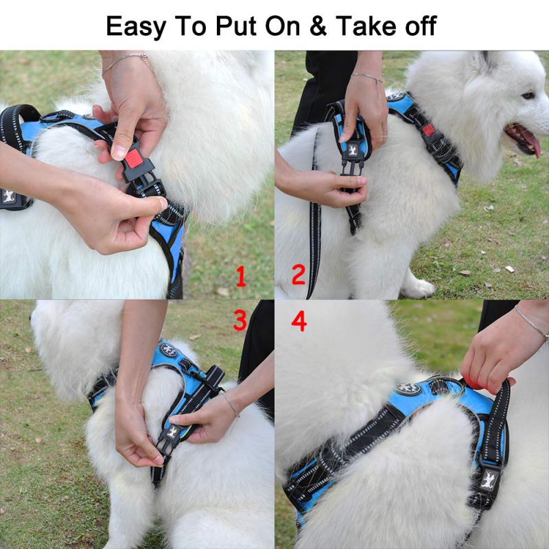 Poypet best sale dog harness