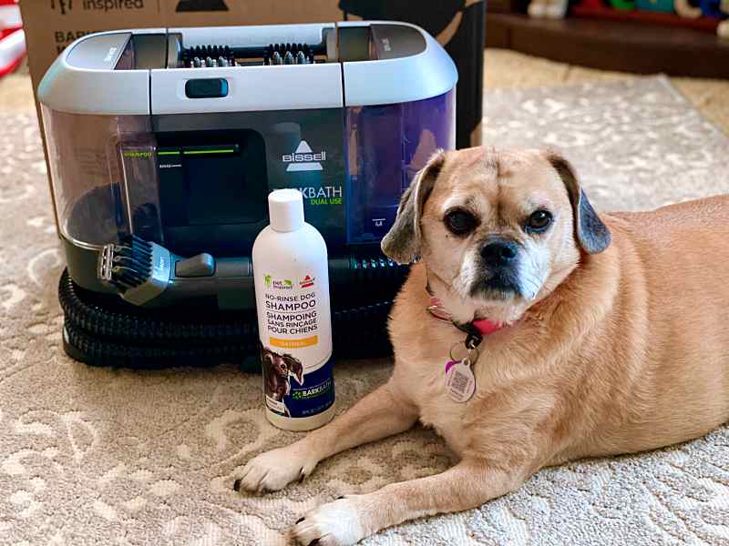 Bissell Barkbath Portable Dog Bath Deep Cleaning System review The Gadgeteer