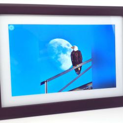 Dragon Touch Classic 10 WiFi digital photo frame review