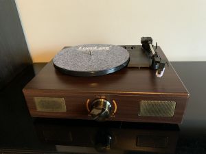 LuguLake Vinyl 1