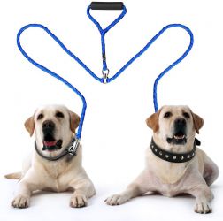 Peteast Doubledogleash 1