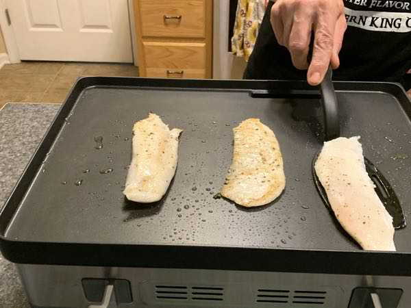 Wolf Gourmet Precision Electric Griddle review - The Gadgeteer