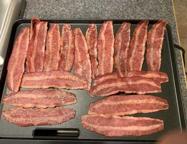 Wolf Gourmet Precision Electric Griddle review - The Gadgeteer