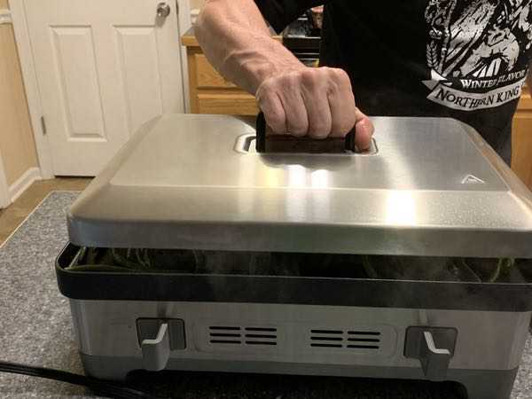Wolf GourmetPrecisionElectricGriddle 9