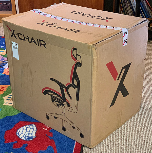 X Chair 1