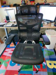 X Chair 21