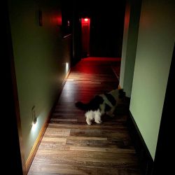 SnapPower ConnectLight review – The easiest automatic lighting you’ll ever install