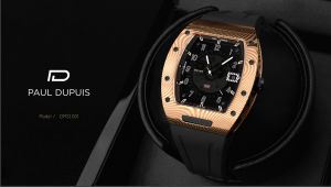 The Paul Dupuis DMSI001 1
