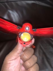 zing gogo bird